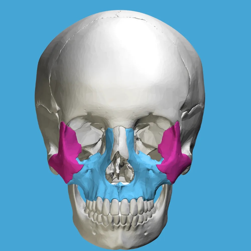 تحسين تناسق الوجه